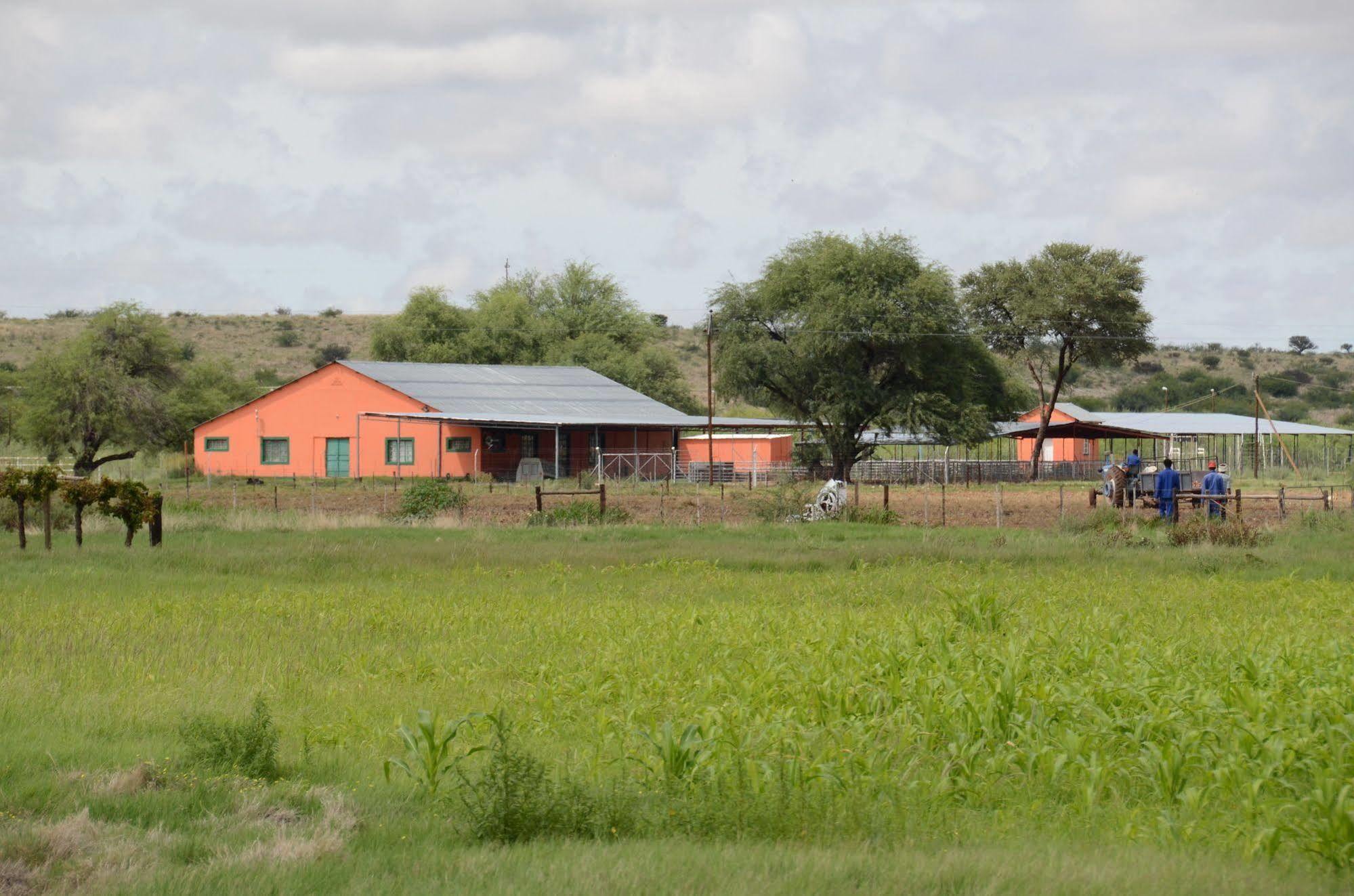 Kalahari Farmhouse, Namibia Mariental Exterior foto
